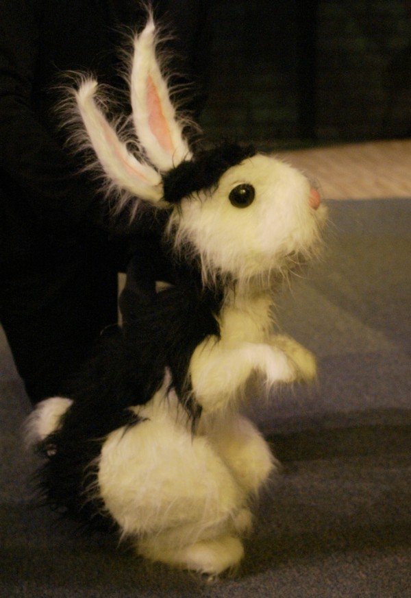 Bunnicula is ready for action!